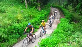 Da Nang Bike Trails for Eco Tours